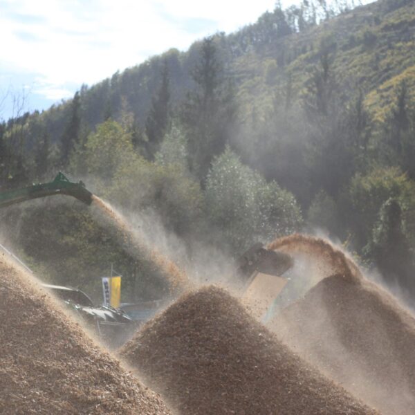 hackschnitzel_haufen_1_web